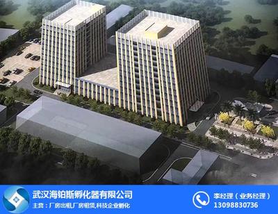 專業潔凈，為創新護航 武漢海鉑斯孵化器實驗室清洗刷解析