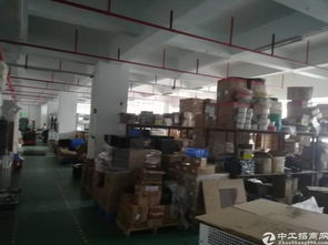 福永鳳凰精品廠房招租 900平方米優質空間，清洗刷行業優選