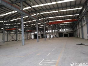 搶占先機！廣州新塘全新高臺廠房火爆招租，打造專業清洗刷生產新高地